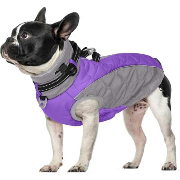 Other - Dog Jackets Medium Dogs, Windproof & Water Resistant Winter Clothes